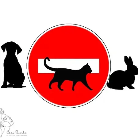 Apartment L'envolee Sur Cour, T2 Angers