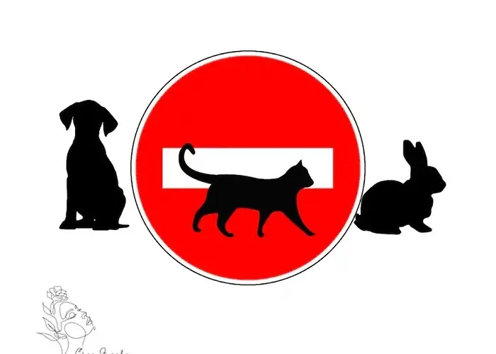 Apartament L'envolee Sur Cour, T2 Angers